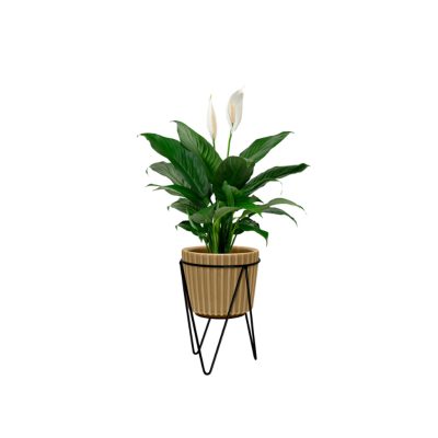 SUPORTE-VASO-TRIPE-COD15